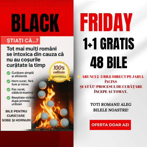 BILE PENTRU CURĂȚAREA HORNURILOR ȘI SOBELOR