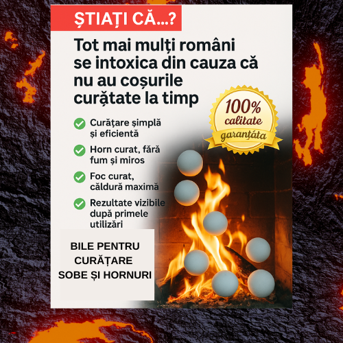 BILE PENTRU CURĂȚARE HORNURI